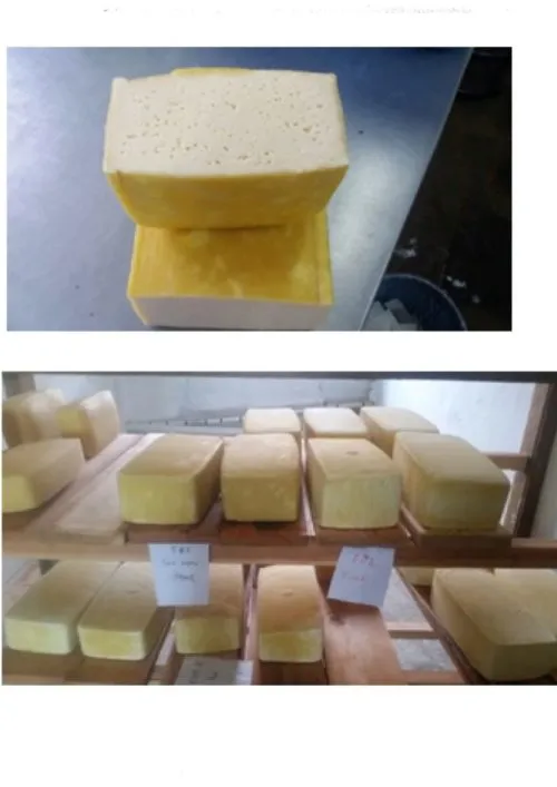 фотография продукта Сыр горный